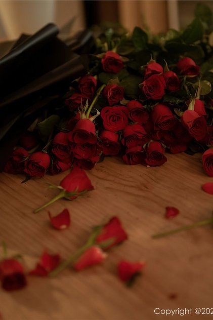 斗破苍穹4：逃亡