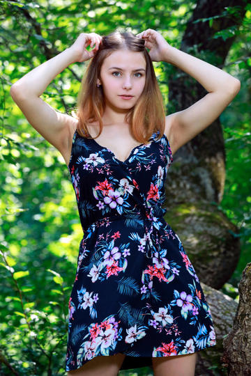 落在香杉树的雪花